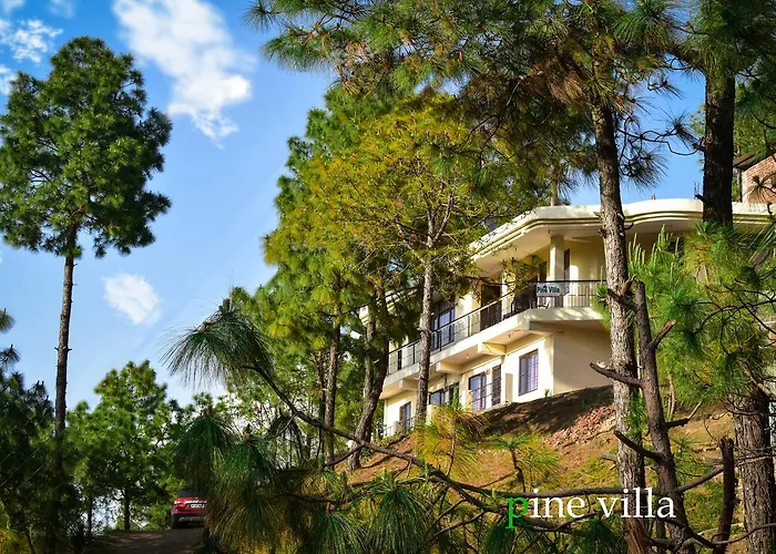 Pine Villa Kasauli